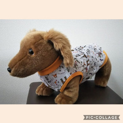 犬服　パリの猫　Mサイズ 1枚目の画像