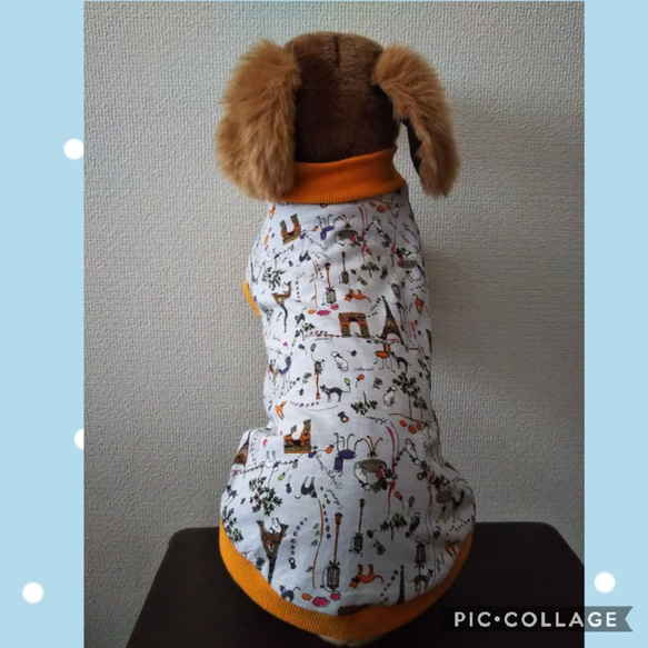 犬服　パリの猫　DMサイズ 5枚目の画像