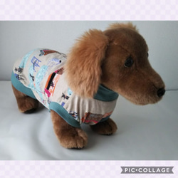 犬服　英字と犬　DMサイズ 8枚目の画像