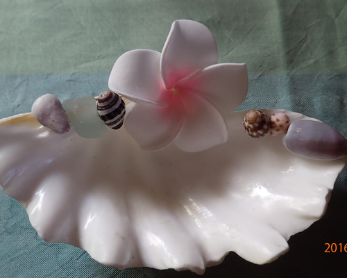 シャコ貝トレーA(貝殻) 灰皿 Dream pocket 通販 2526352｜Creema(クリーマ)