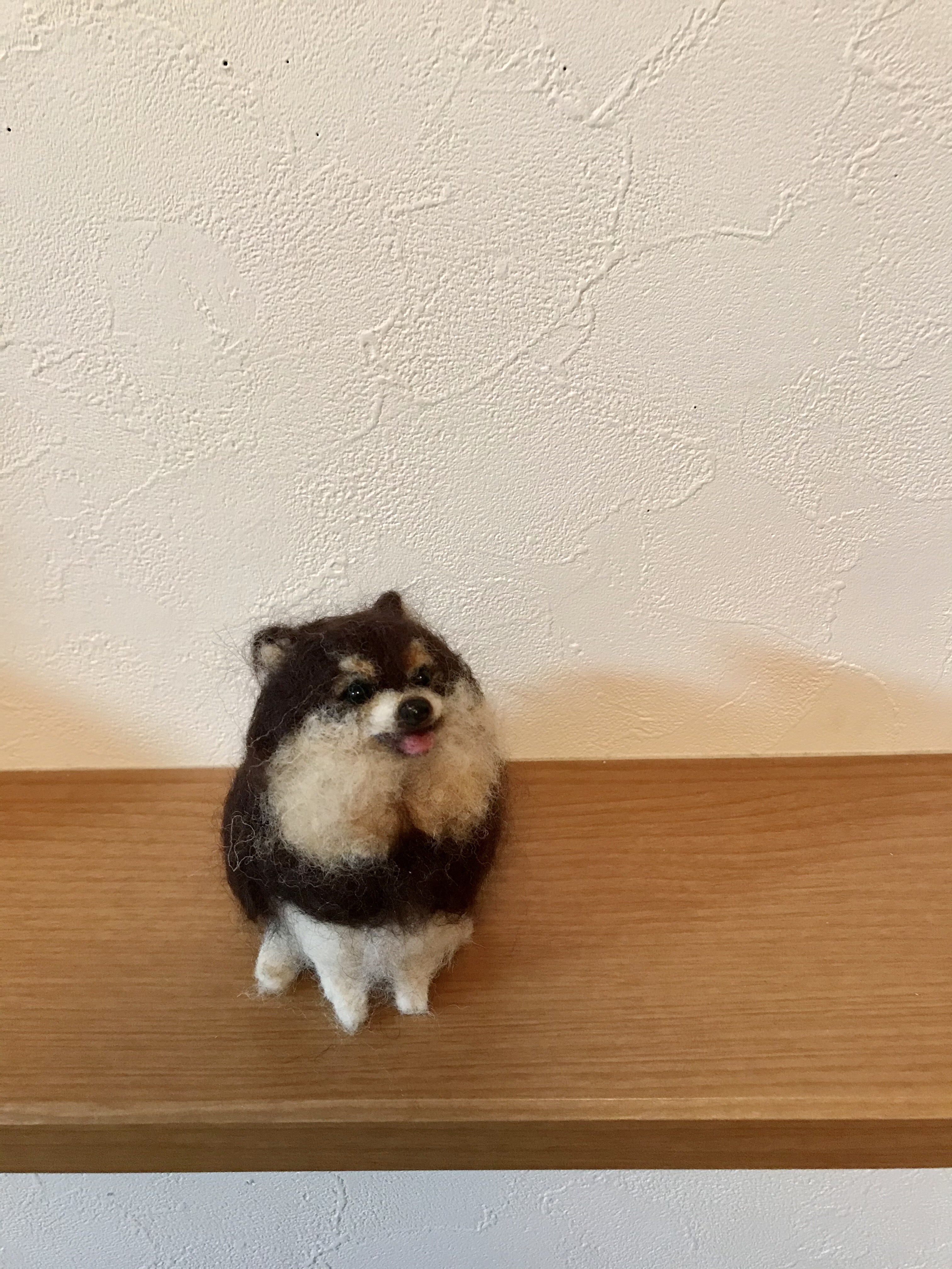 ポメラニアン(ブラックタン) 羊毛フェルト よっちみかん 通販