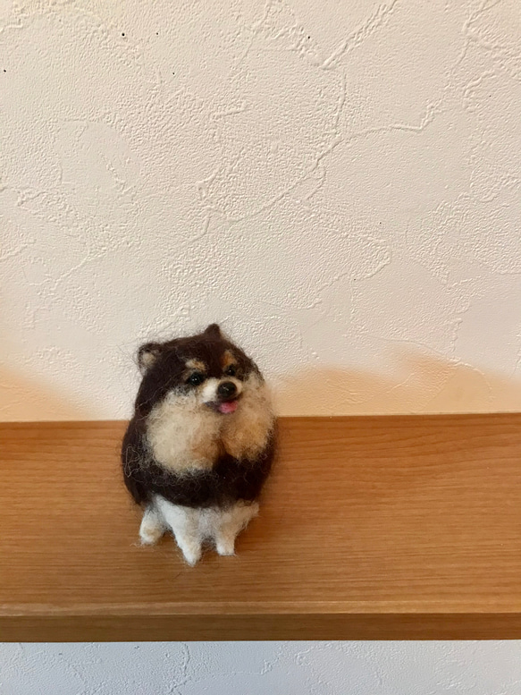 羊毛フェルト ブラックタンポメラニアン モデルヨンタン