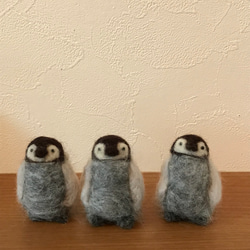 皇帝ペンギンの赤ちゃん3点セット 羊毛フェルト よっちみかん 通販