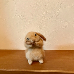 1_a50b519f64819d7692831c7a7352