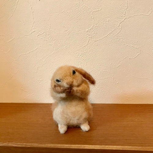毛づくろい垂れ耳うさぎ 羊毛フェルト よっちみかん 通販 10634138