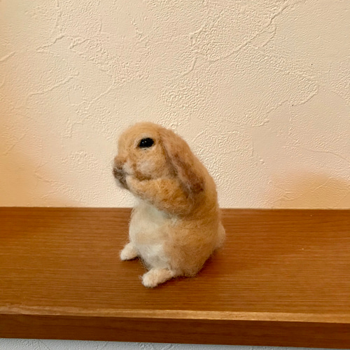 毛づくろい垂れ耳うさぎ 羊毛フェルト よっちみかん 通販 10634138