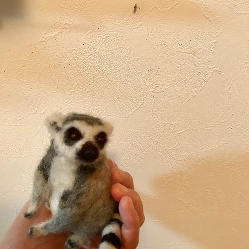 ワオキツネザル 羊毛フェルト よっちみかん 通販 10783795