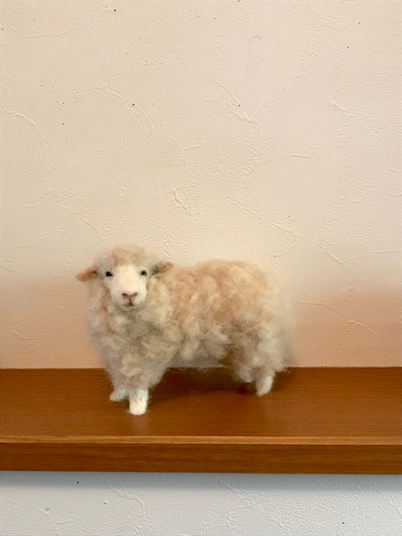 羊 1枚目の画像
