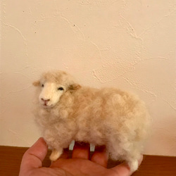 羊 3枚目の画像