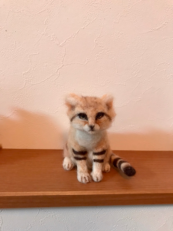 受注制作☆羊毛フェルトのスナネコ赤ちゃん | iichi 日々の