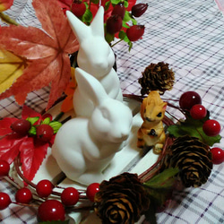 【送料込み】木の実と野ウサギ♪④ 3枚目の画像