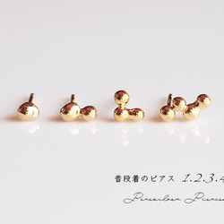 ✳️至高 セルパンボエム ピアス シルバー！ネックレスや