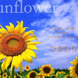 [S] Sunflower 向日葵無環耳環 ★附有您選擇的彩石 第2張的照片