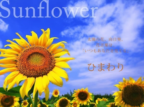 向日葵ひまわりブレスレット【ペリドット】一粒シンプルタイプ 2枚目の画像