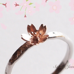 桜の指輪Ｓ【受注生産】 1枚目の画像