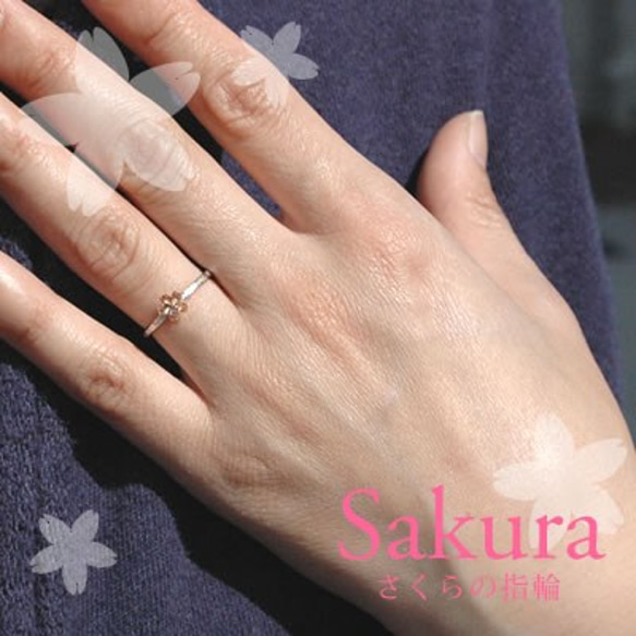 桜の指輪Ｓ【受注生産】 6枚目の画像
