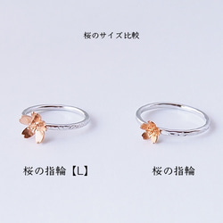 桜の指輪Ｓ【受注生産】 7枚目の画像