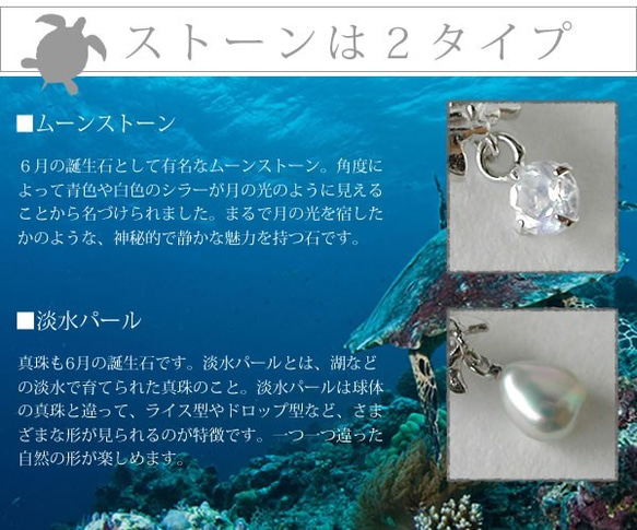 Turtle海龜耳環[S][月光石或淡水珍珠] 第4張的照片