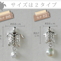 Turtle海龜耳環[S][月光石或淡水珍珠] 第5張的照片