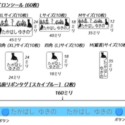 ねこのお名前シールとアイロンシール★入園&入学準備フルセット(202枚) 5枚目の画像