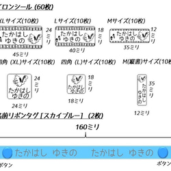 リスのお名前シールとアイロンシール★入園&入学準備フルセット(202枚) 5枚目の画像