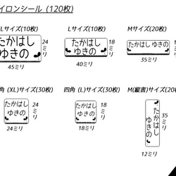 モノクロにこだわった双葉のアイロンシール(120枚入) 3枚目の画像