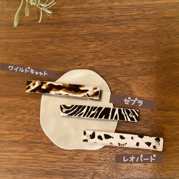 薩凡納★瓦萊塔 第1張的照片