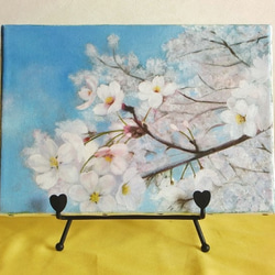 【油絵･原画】桜 1枚目の画像