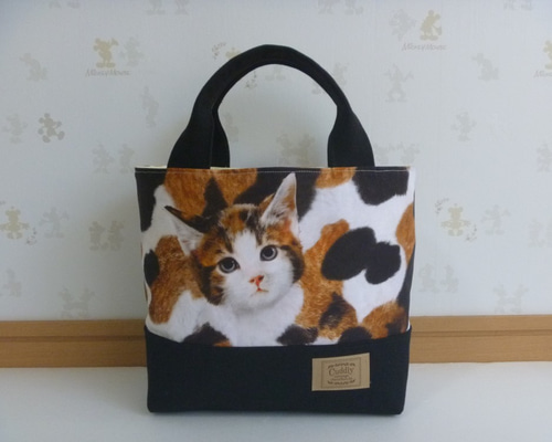 0_777d830cec5ec460c8fd90f5aa3a