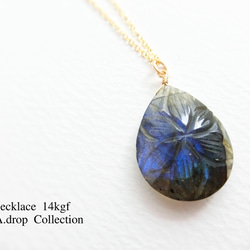 バハマ諸島産クイーンコンクシェル ネックレス ネックレス・ペンダント