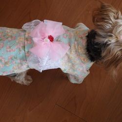 ワンちゃんの天使の浴衣　【枝桜】黒　SS・S　犬のきもの　犬服 7枚目の画像