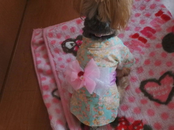 ワンちゃんの天使の浴衣　【枝桜】黒　SS・S　犬のきもの　犬服 8枚目の画像