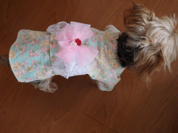ワンちゃんの天使の浴衣　【花兎】白　3S・SS　犬のきもの　犬服 7枚目の画像