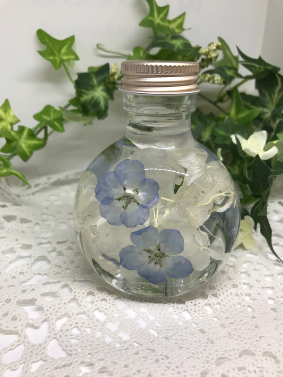 ネモフィラのハーバリウム その他インテリア雑貨 mai 通販 11562365