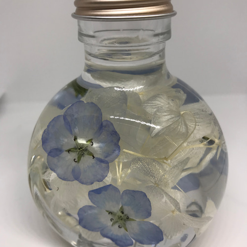 ネモフィラのハーバリウム その他インテリア雑貨 mai 通販 11562365