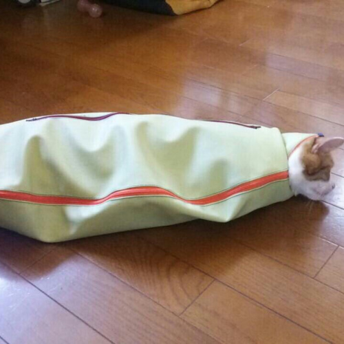 猫用品 暴れる猫ちゃん袋のねずみ!! ペット服・アクセサリー boo5133  