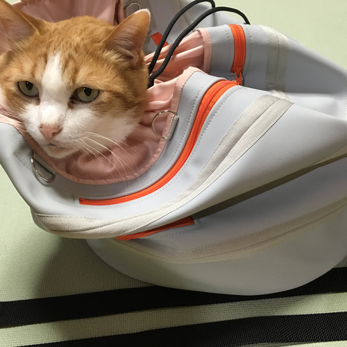 猫の世話袋 暴れる猫ちゃん一発キャッチで爪切り！ ペット服