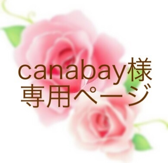 canabay様専用ページ 1枚目の画像