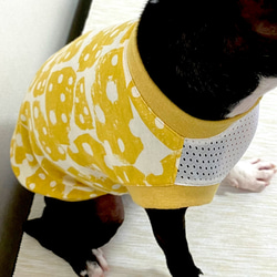 犬服　夏用タンクトップ　チーズなタンクトップ 4枚目の画像