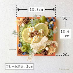 木の実＆フェイクフルーツのフレームアレンジ〝Lemon〟（送料¥400） 5枚目の画像