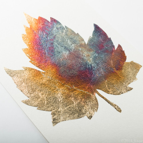 箔押しポストカード_ボタニカルシリーズ5枚セット ポストカード 風間