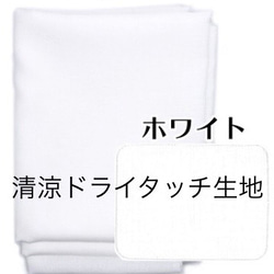 選べる裏地!! Wガーゼ ハリネズミ プリーツマスク 大人用・子供用・大人子供セット/大人のみノーズワイヤー有・無 4枚目の画像