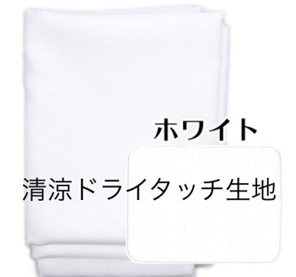 選べる裏地!! Wガーゼ ハリネズミ プリーツマスク 大人用・子供用・大人子供セット/大人のみノーズワイヤー有・無 4枚目の画像