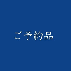 y 狀光澤大號絲綢的預訂項目 * 淺 moegi 黃色 x 銹青色 * 攤位 第1張的照片