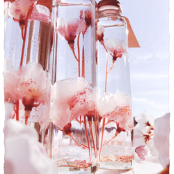 ❀桜舞う、春のスノードームボトル〜ハーバリウム風〜ソメイヨシノ❀【ロングボトル】 2枚目の画像