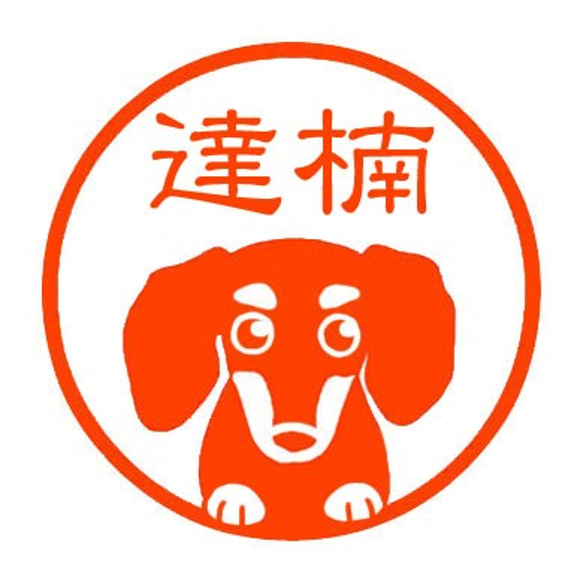 迷你臘腸犬黑色棕褐色海豹 第1張的照片