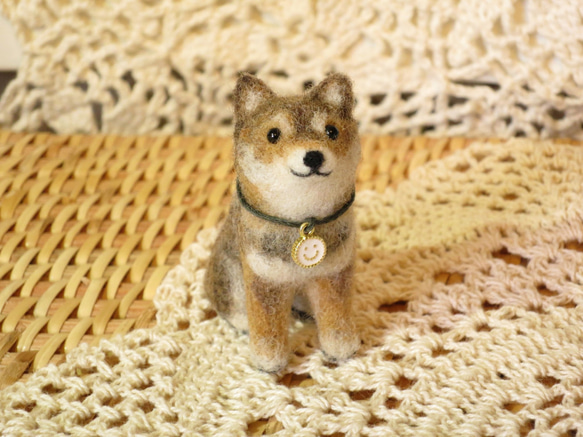 胡麻柴ゴマちゃん（ちいさい柴犬） 羊毛フェルト yachi & kyuzo
