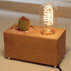 THE GOOD OLD TIME LAMP-SUCCULENT　 1枚目の画像