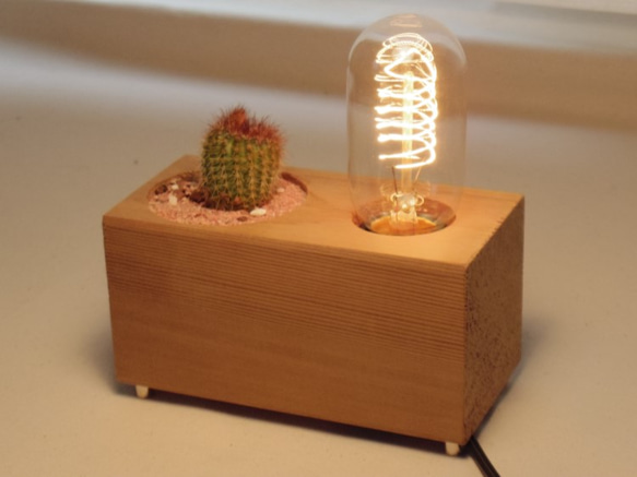 THE GOOD OLD TIME LAMP-SUCCULENT　 1枚目の画像