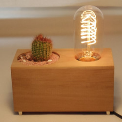 THE GOOD OLD TIME LAMP-SUCCULENT　 2枚目の画像